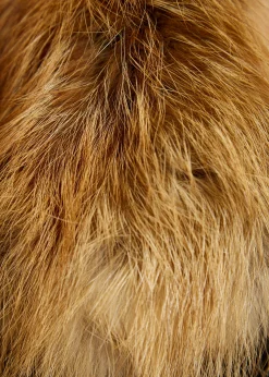 Red Genuine Fox Fur Collar