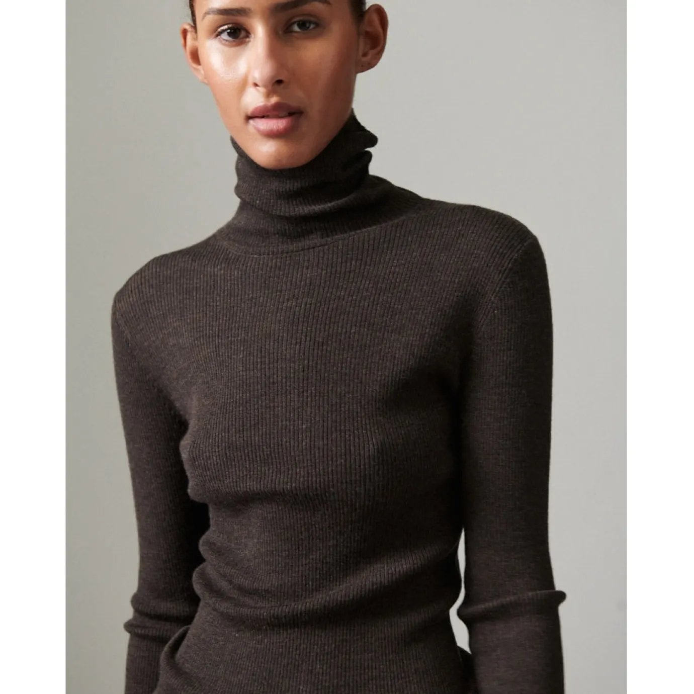 Sierra Merino Expresso Ribbed Polo Neck
