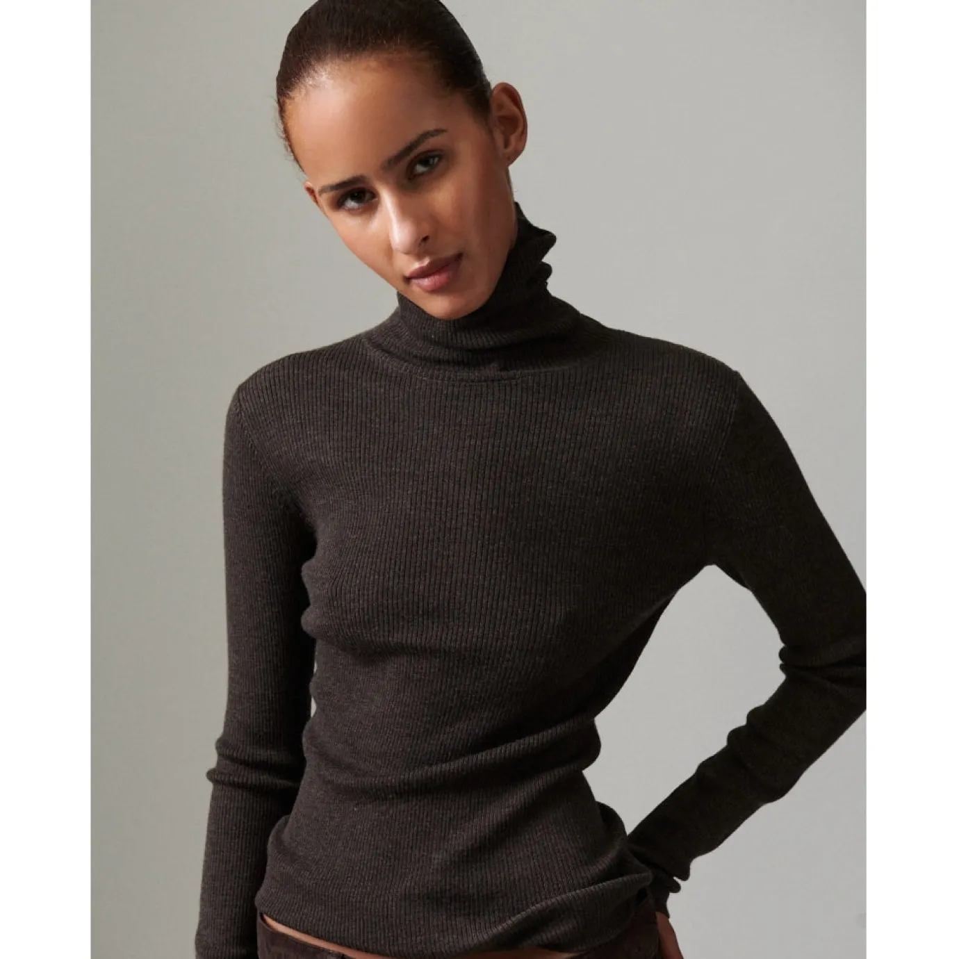 Sierra Merino Expresso Ribbed Polo Neck