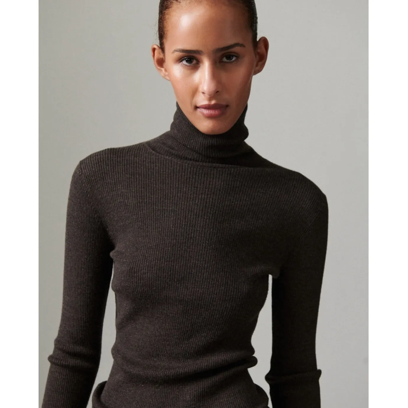 Sierra Merino Expresso Ribbed Polo Neck