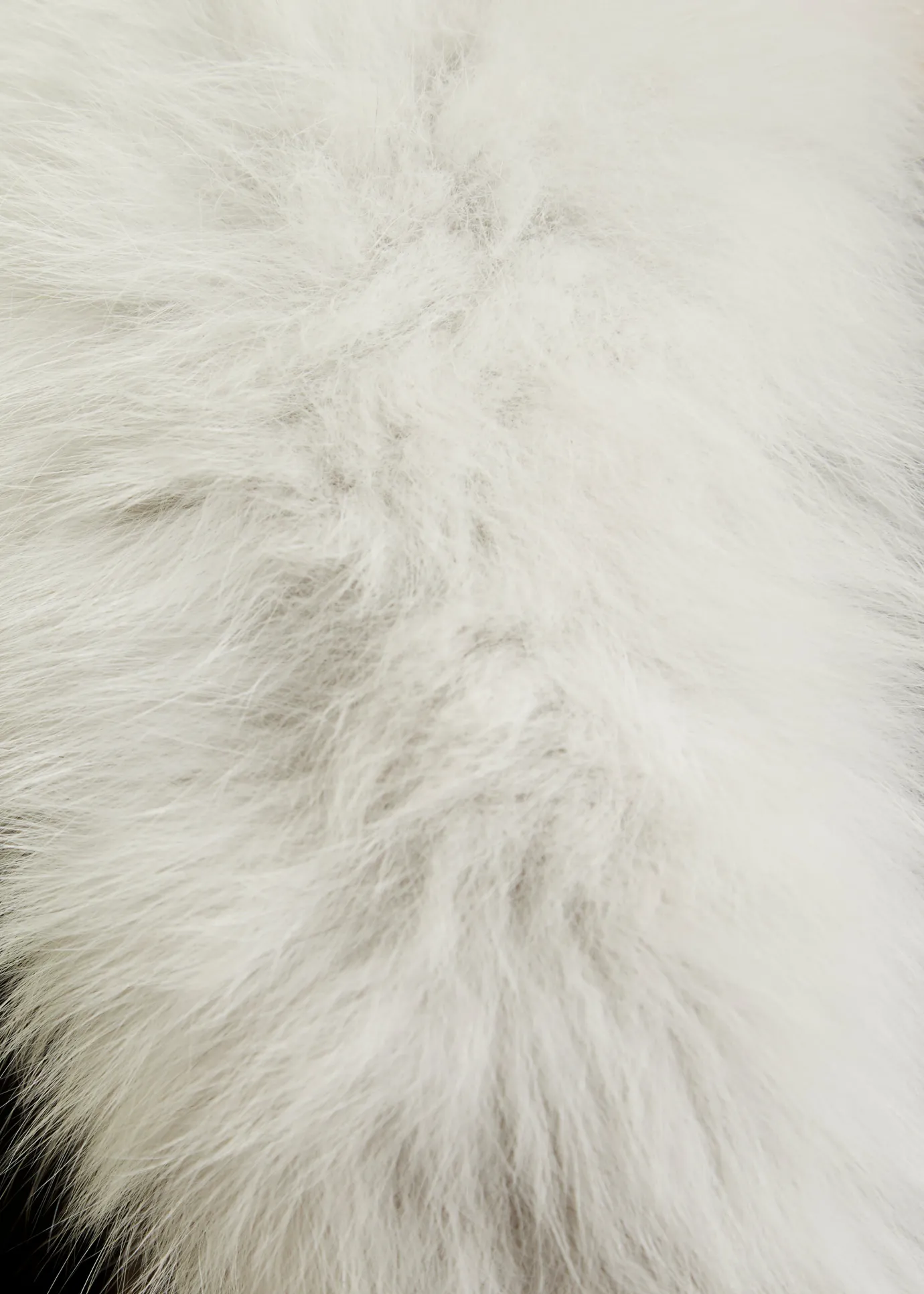 White Genuine Fox Fur Collar